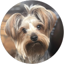 Irina Sherekhora profile picture